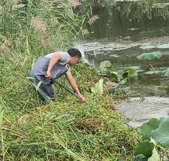 疾風(fēng)知勁草