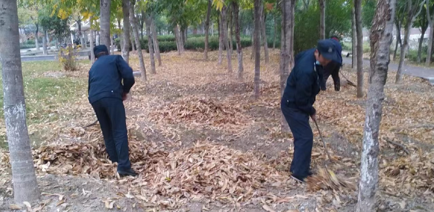 齊心清掃落葉， 共創(chuàng)文明校園