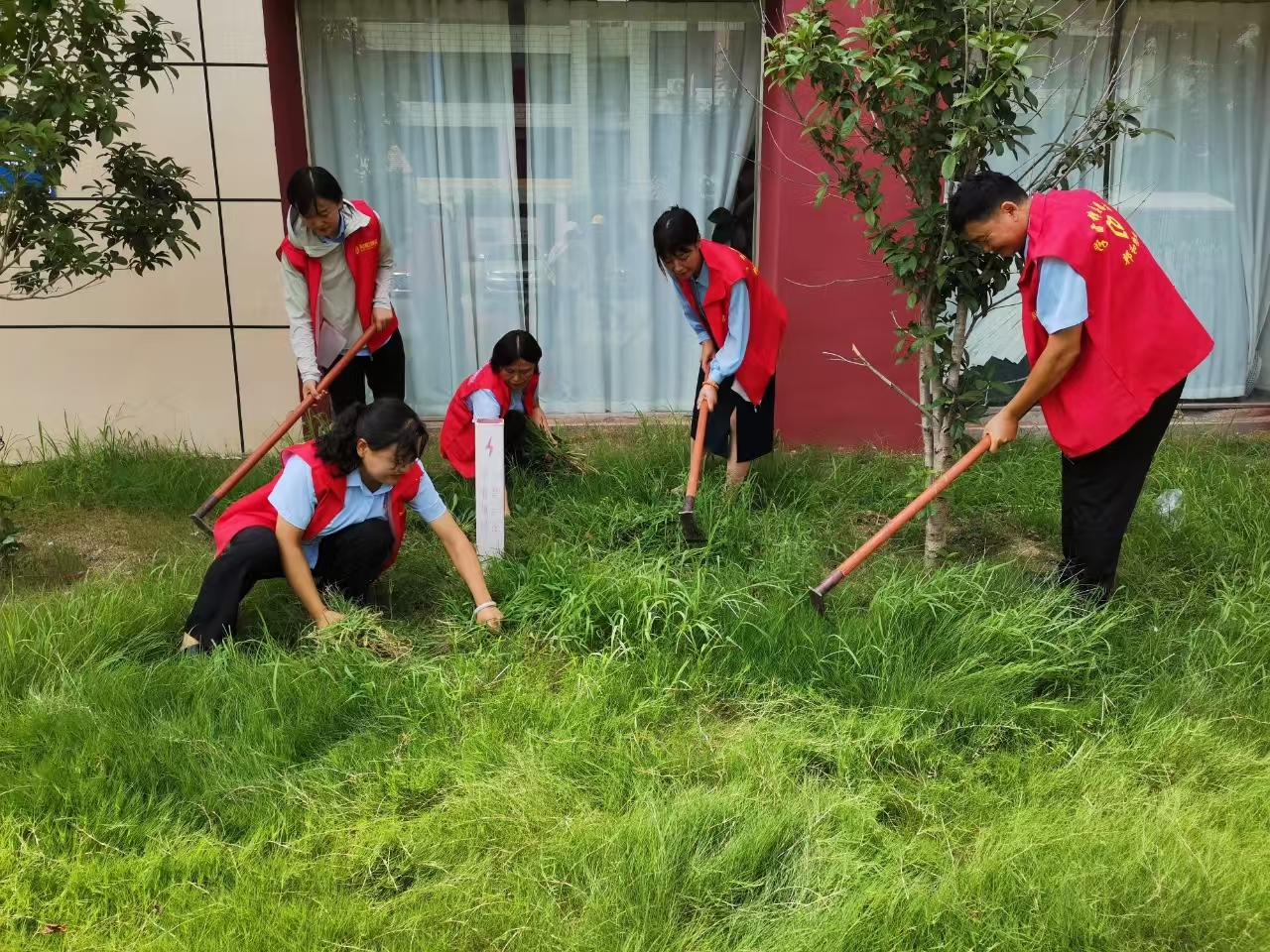 “美化家園  黨員先行” ——邦和物業(yè)黨支部開展志愿者服務活動